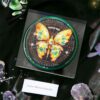 MB-000007-06 🦋 Blind Box–Pin Lenticular de Mariposas 3D🦋