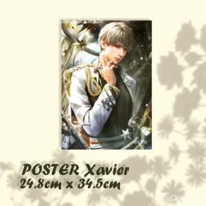 Poster Xavier
